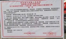 南部县今日爆料消息,揭秘今日热点事件